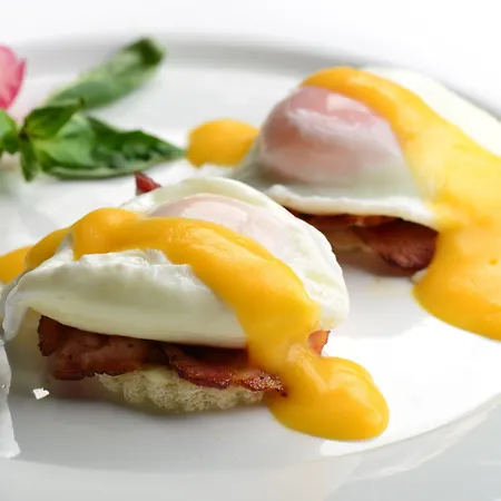 Western Premier Slon